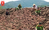 Hành động đẹp sau trận giông lốc làm người dân xúc động
